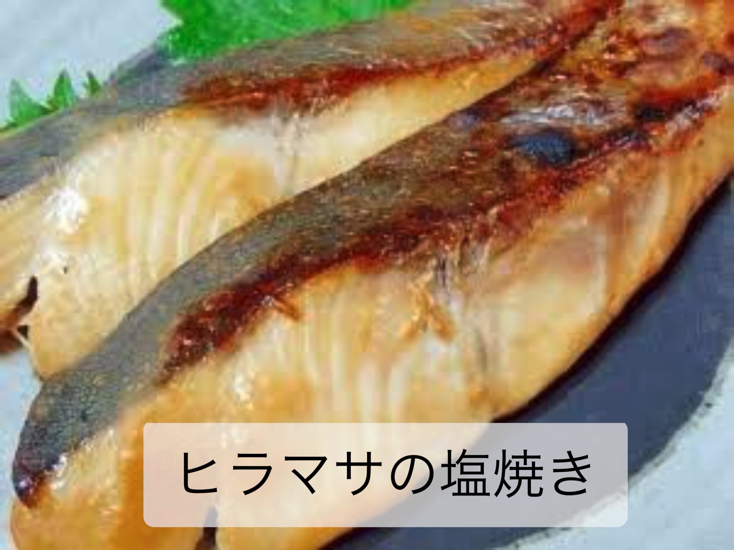 ヒラマサの塩焼き 海の恵み 食の底力 Japan 公式レシピサイト